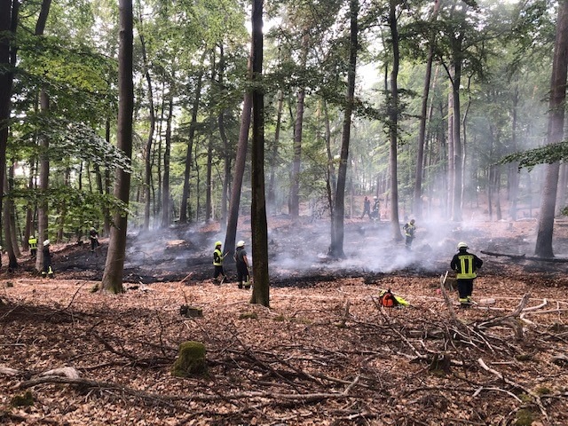 POL-PDPS: Brand von Wald- und Wiesenfläche