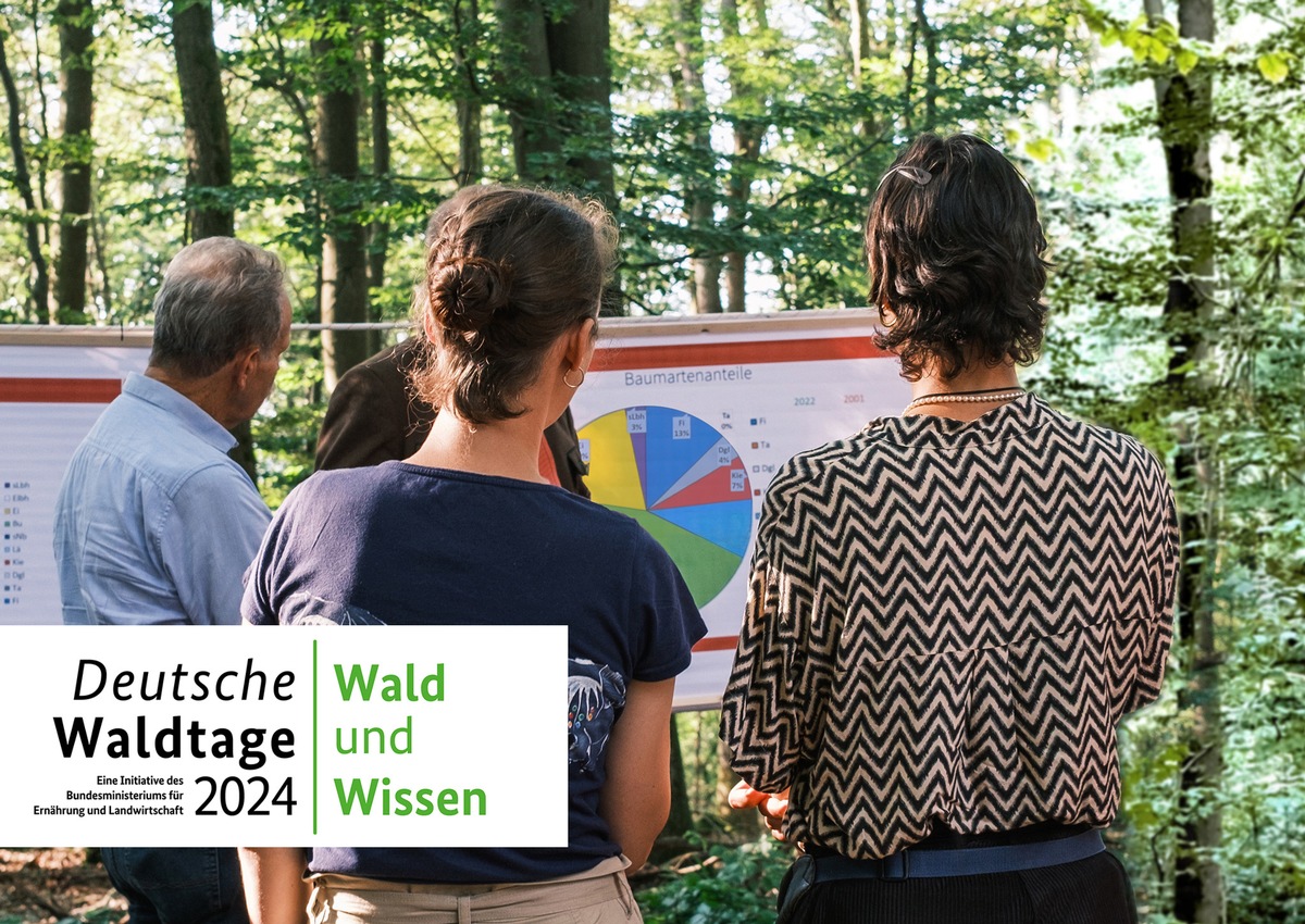 Entdecken, lernen, erleben bei den Deutschen Waldtagen 2024 / Deutschlandweite Veranstaltungen vom 13. bis 15. September zum Thema Wald und Wissen