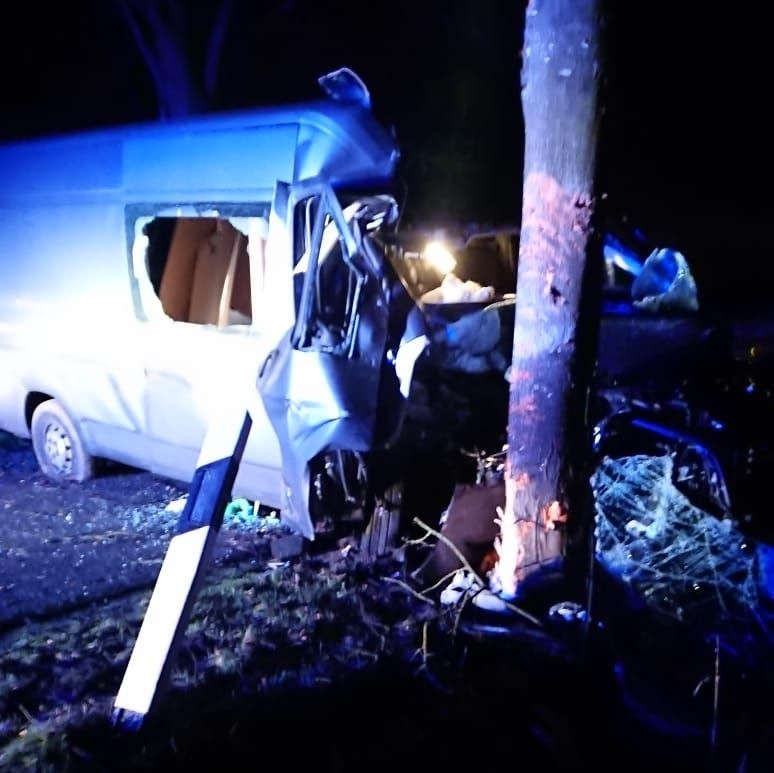 POL-STD: Transporterfahrer prallt frontal gegen Baum - durch Glück unverletzt