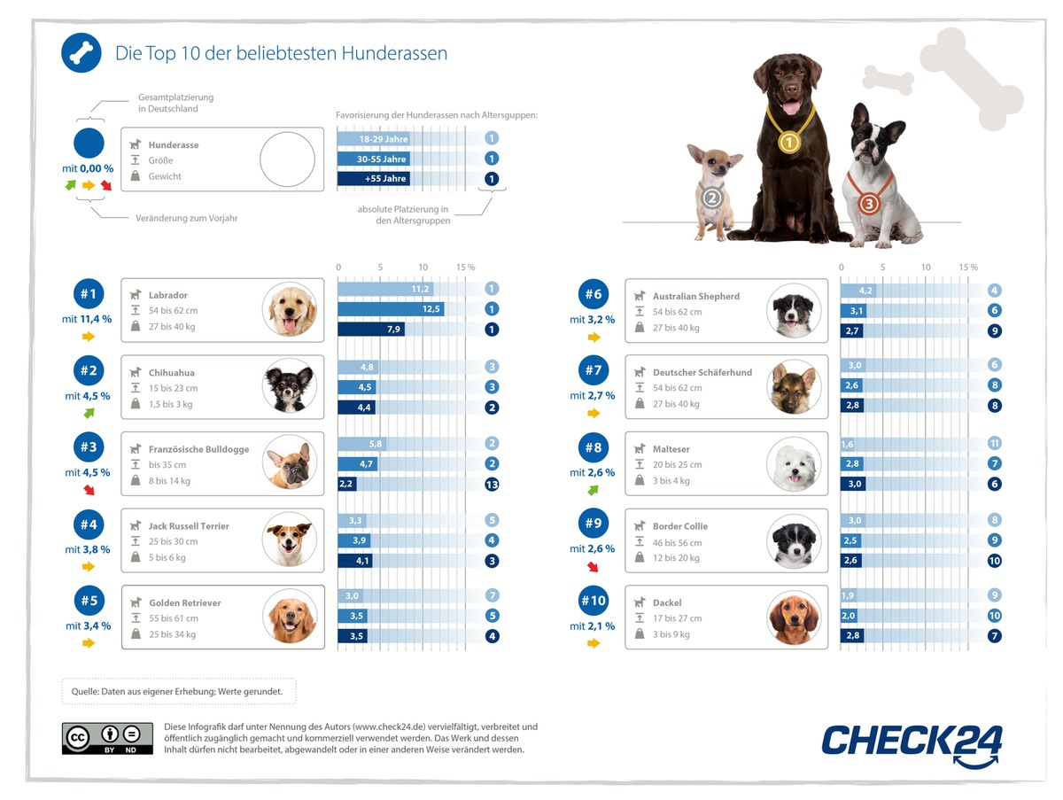Beliebteste Hunderassen: Labrador sichert sich erneut den ersten Platz
