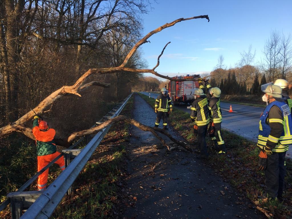 FW-Schermbeck: Ast drohte auf Radweg zu stürzen