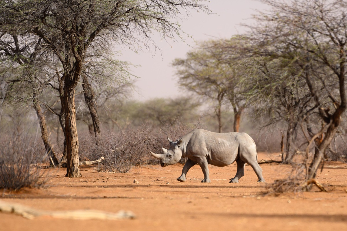 Zwei ZDF-Dokus der &quot;Terra-X-Abenteuer&quot;-Reihe entführen nach Namibia und Vietnam