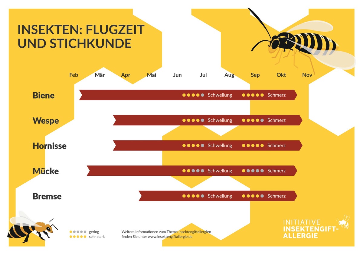 Gefahr nicht nur im Garten: Insektenstiche ernst nehmen