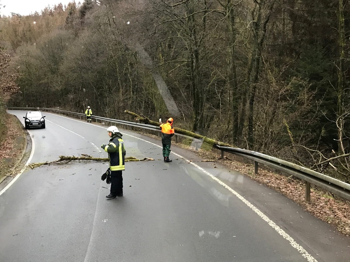 FW-EN: Baum hängt über Fahrbahn