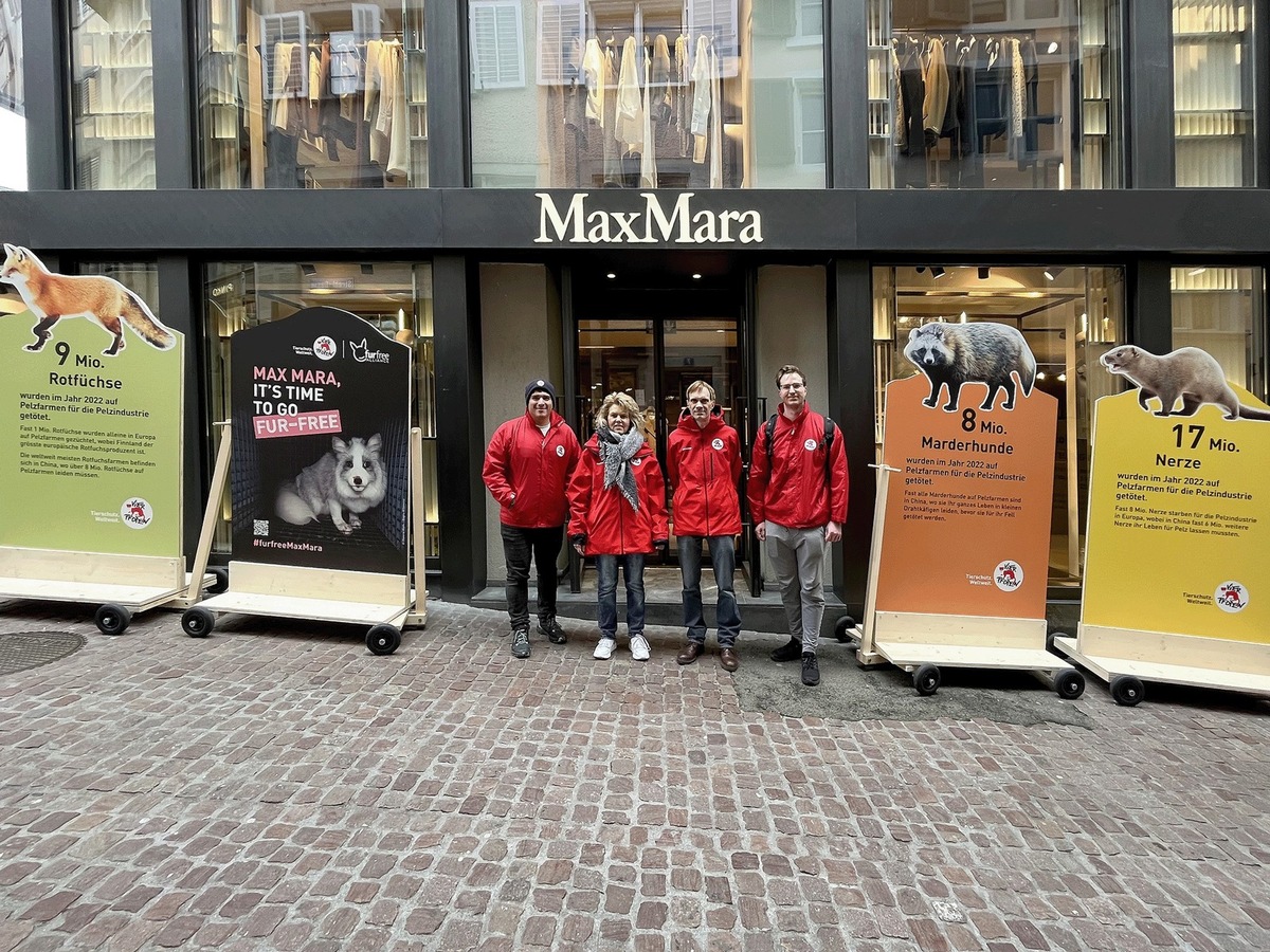 Avancée majeure pour le bien-être animal dans la mode: Max Mara renonce à la fourrure