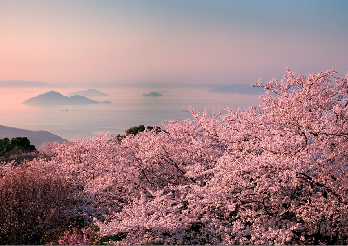 Medieninformation: Lichterspektakel und Triennale auf Inseln – Japan blüht auf