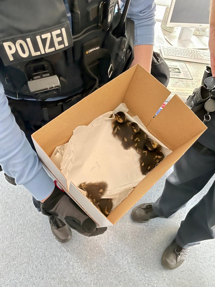 POL-KS: Tierischer Einsatz auf der Autobahn: Polizisten retten Entenküken