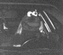 POL-DO: Maskerade aus der Muppetshow: Vermeintlich witzig - im Straßenverkehr vor allem gefährlich