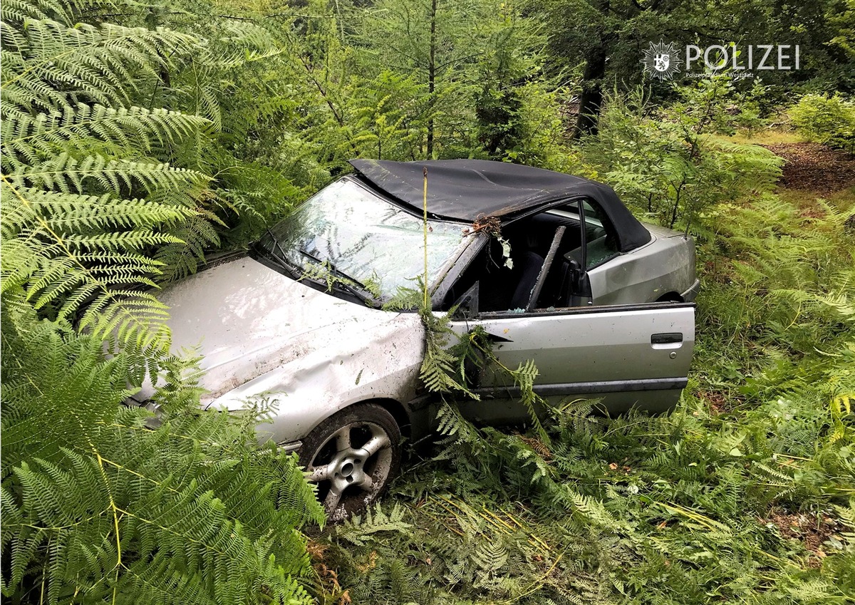 POL-PPWP: Spinne löst Unfall aus