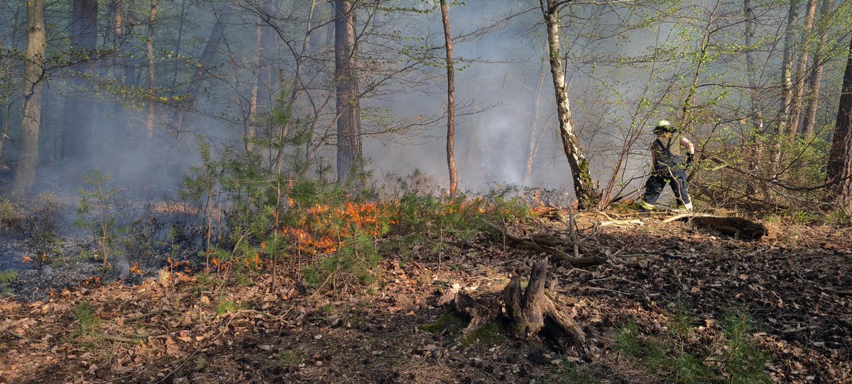 FW Lüchow-Dannenberg: Erster größerer Waldbrand in Nordost-Niedersachsen in diesem Jahr +++ Passant entdeckt Rauchwolke von der anderen Elbseite aus +++ Löscharbeiten beschäftigten über 70 ehrenamtliche Einsatzkräfte