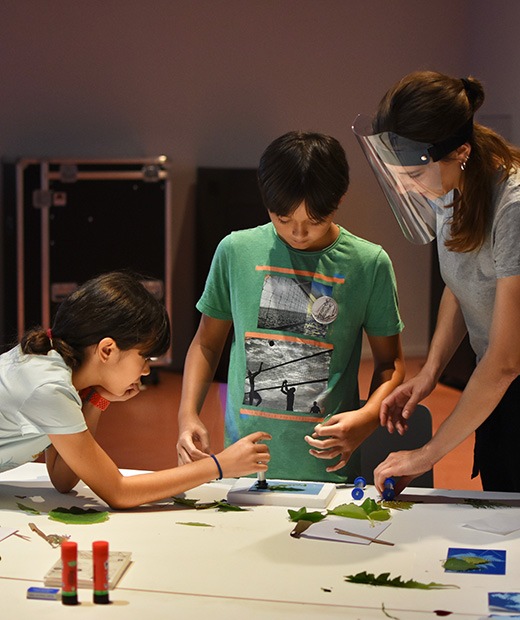 Sommerferienprogramm im Stadtmuseum Aarau: Programmieren, Fotografieren und Experimentieren