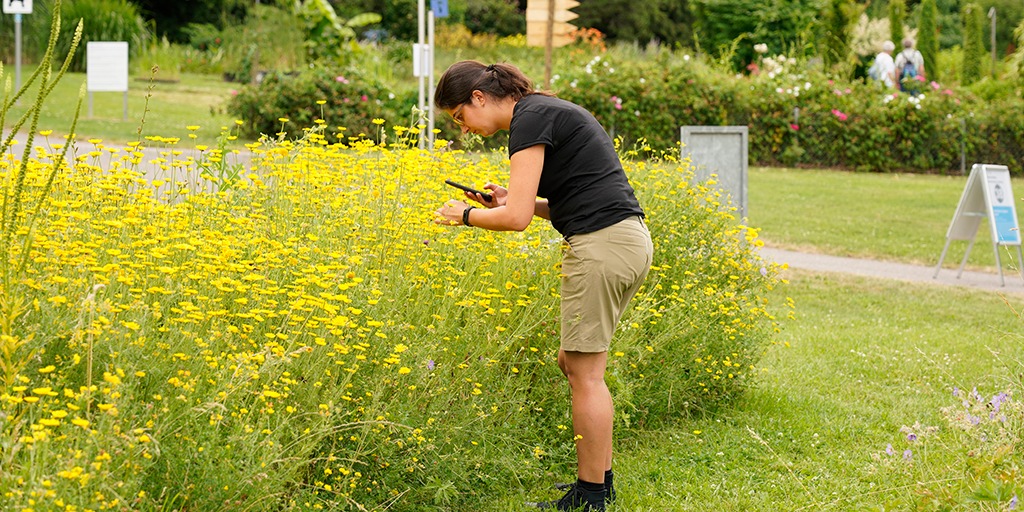 Kompetenzzentrum Biodiversität und Taxonomie nimmt Arbeit auf