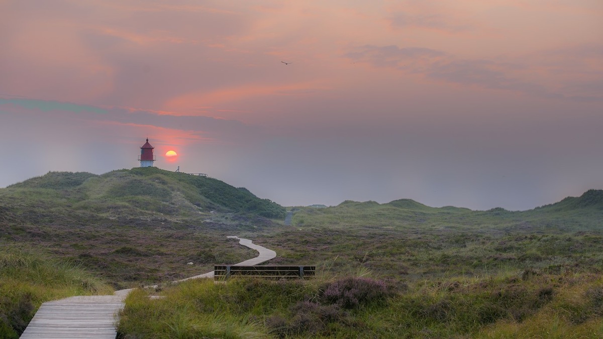 2024: Neueröffnungen und Veranstaltungen in Schleswig-Holstein