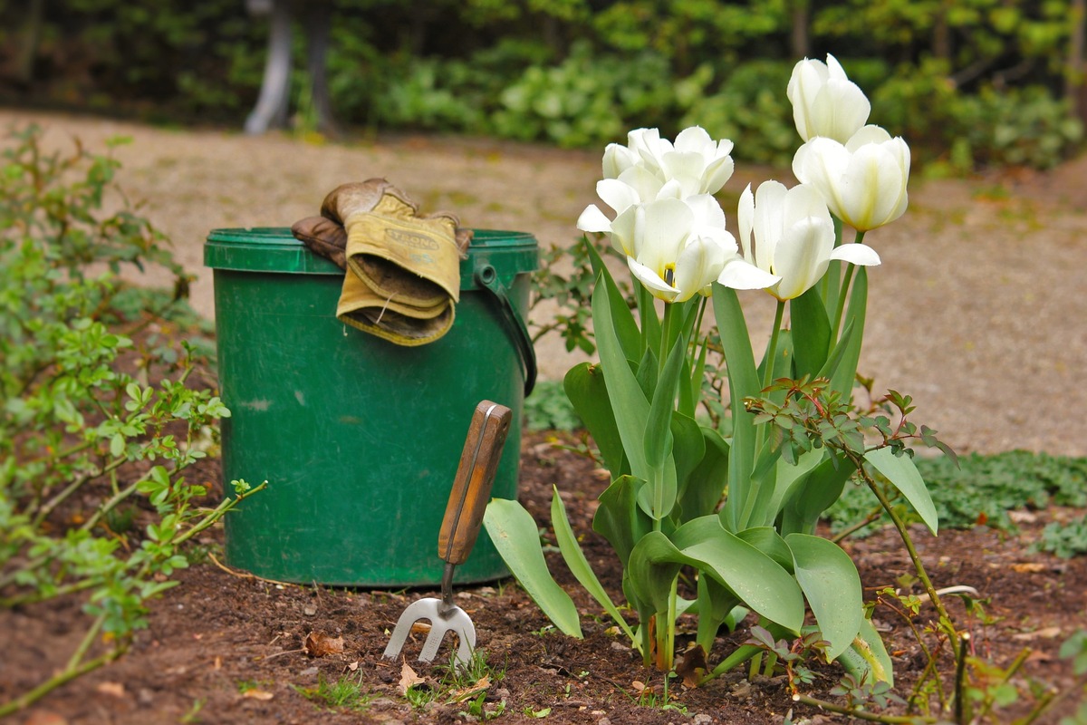 Der heimische Garten zwischen Winter und Frühling