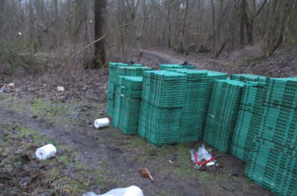 POL-REK: 210201-4: Spaziergänger fand ungewöhnliches Diebesgut im Wald - Hürth