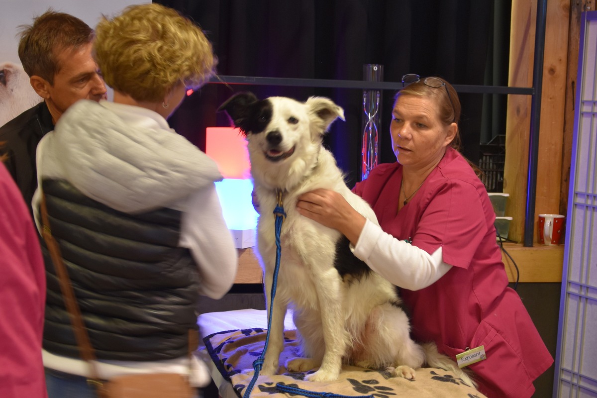 QUATRE PATTES participe à la deuxième édition du salon Terr-animale à Saignelégier, dans le canton du Jura