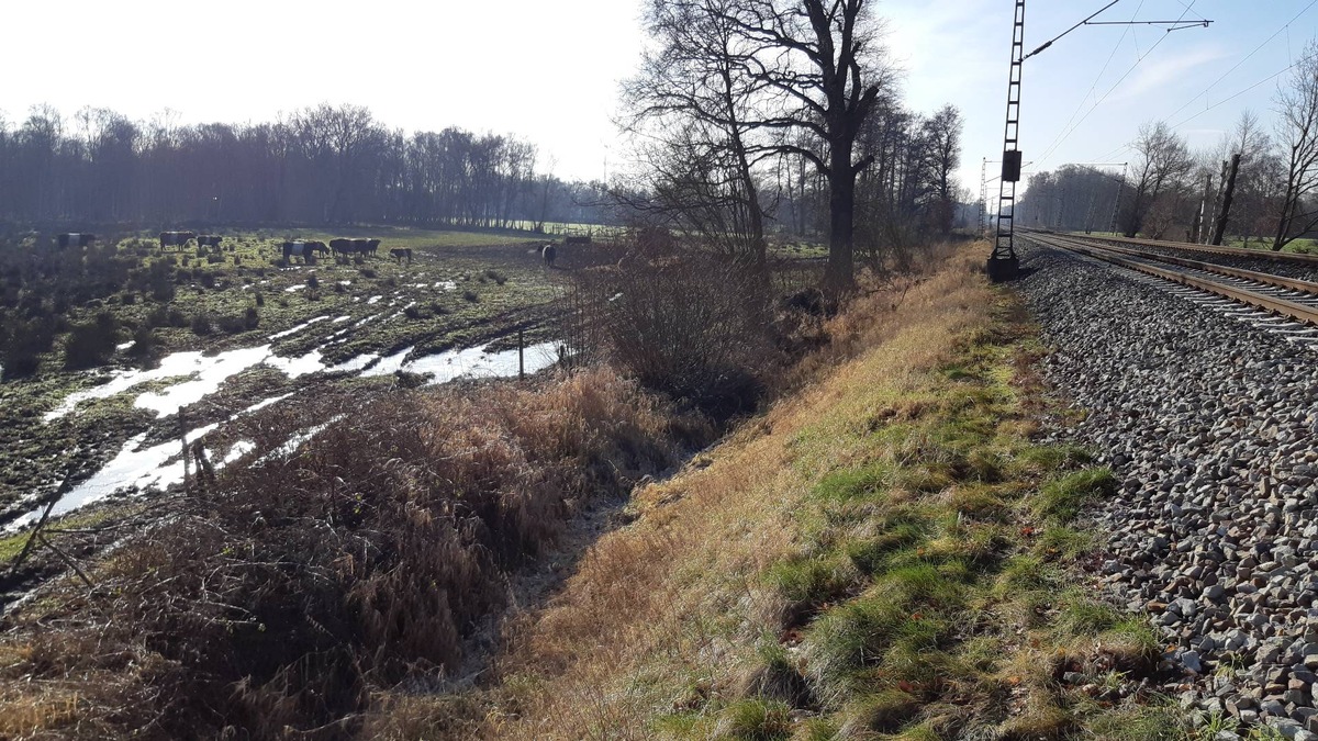 BPOL-HB: Bundespolizisten als Cowboys im Einsatz: Wiederholt Mängel an Zaunanlage festgestellt.