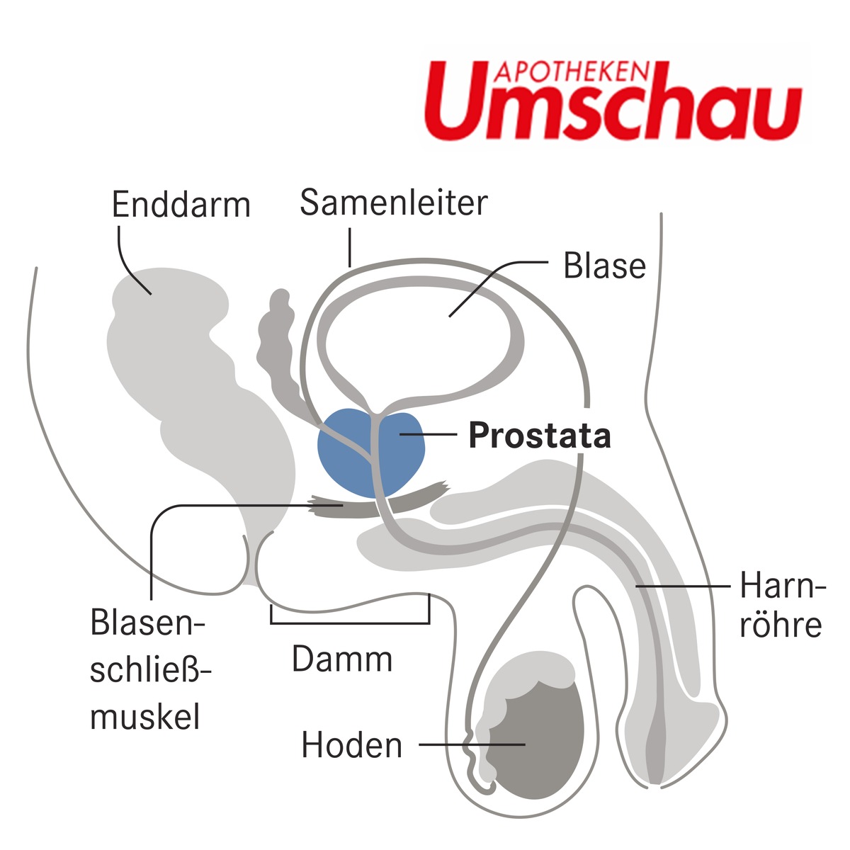 Prostatakrebs-Früherkennung: Das sollten Männer wissen