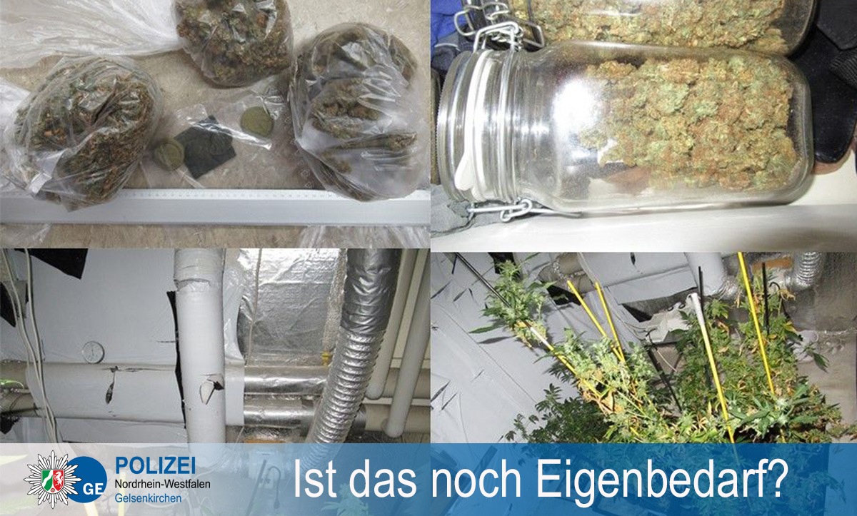 POL-GE: Marihuana, Haschisch und Cannabis-Pflanzen sichergestellt