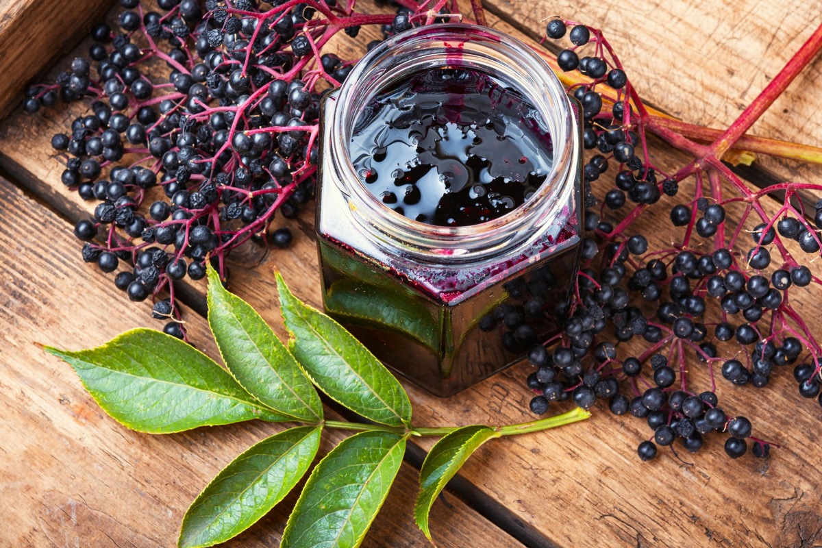 Wussten Sie schon, dass schwarze Holunderbeeren unbedingt ge-kocht werden müssen?