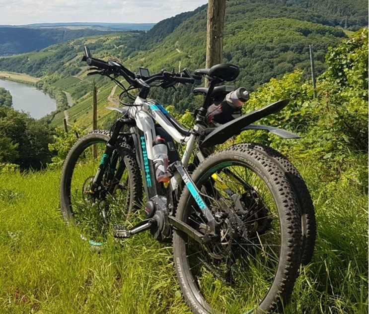 POL-LDK: - E-Bikes in Manderbach gestohlen / Männer suchen auf Grundstücken nach Beute - Peugeot-Fahrer nach Überschlag leicht verletzt - Radfahrer stürzt - Sportheimtür hält Einbrechern stand -