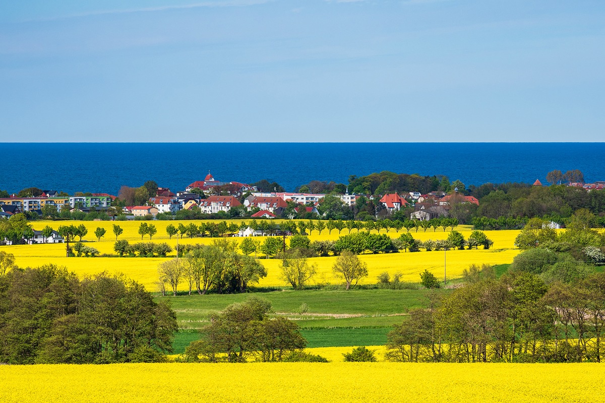 Rapsblüte 2023 / Nicht nur Deutschland blüht derzeit was