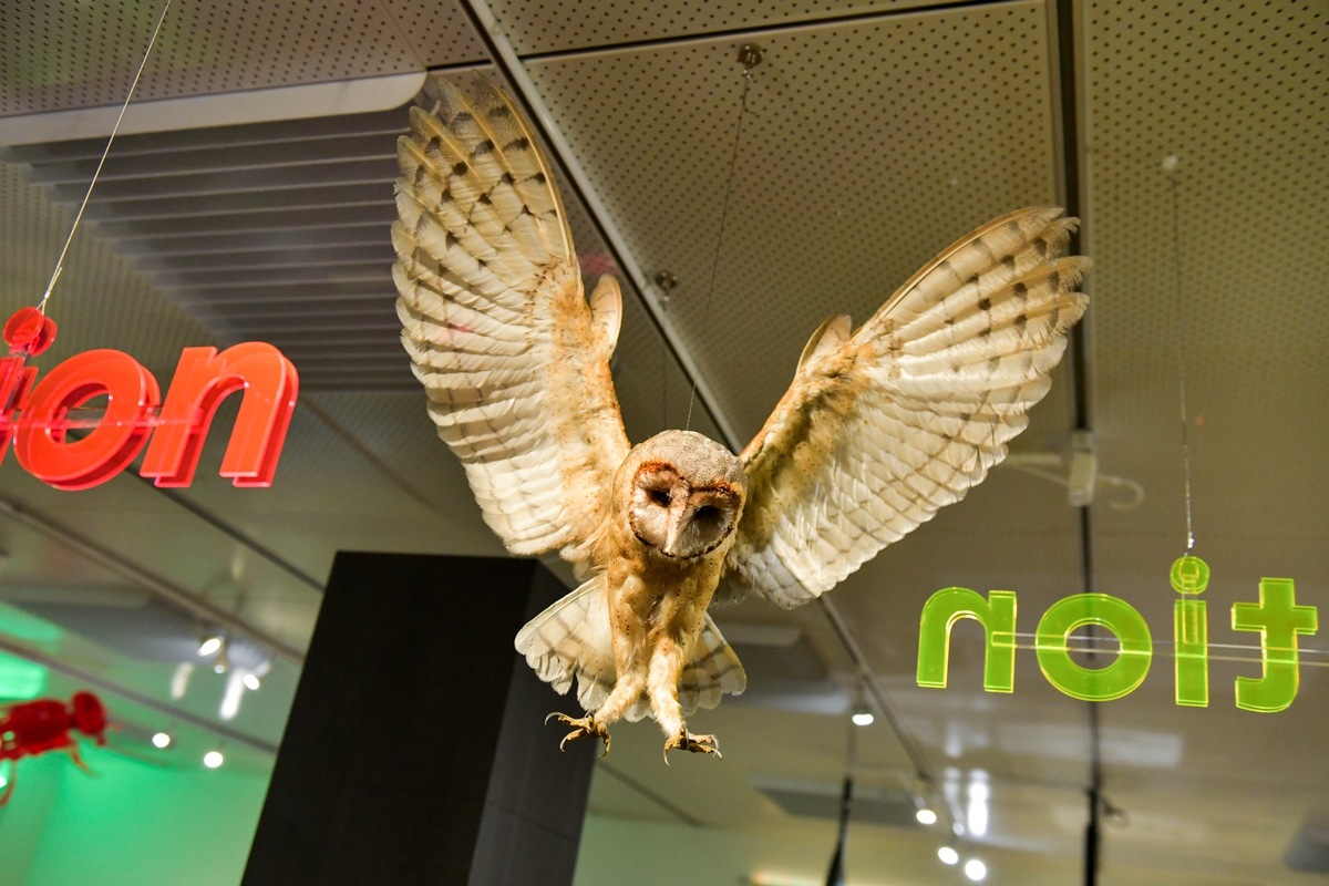 Mittagsführung in der Sonderausstellung &quot;evolution happens!&quot;