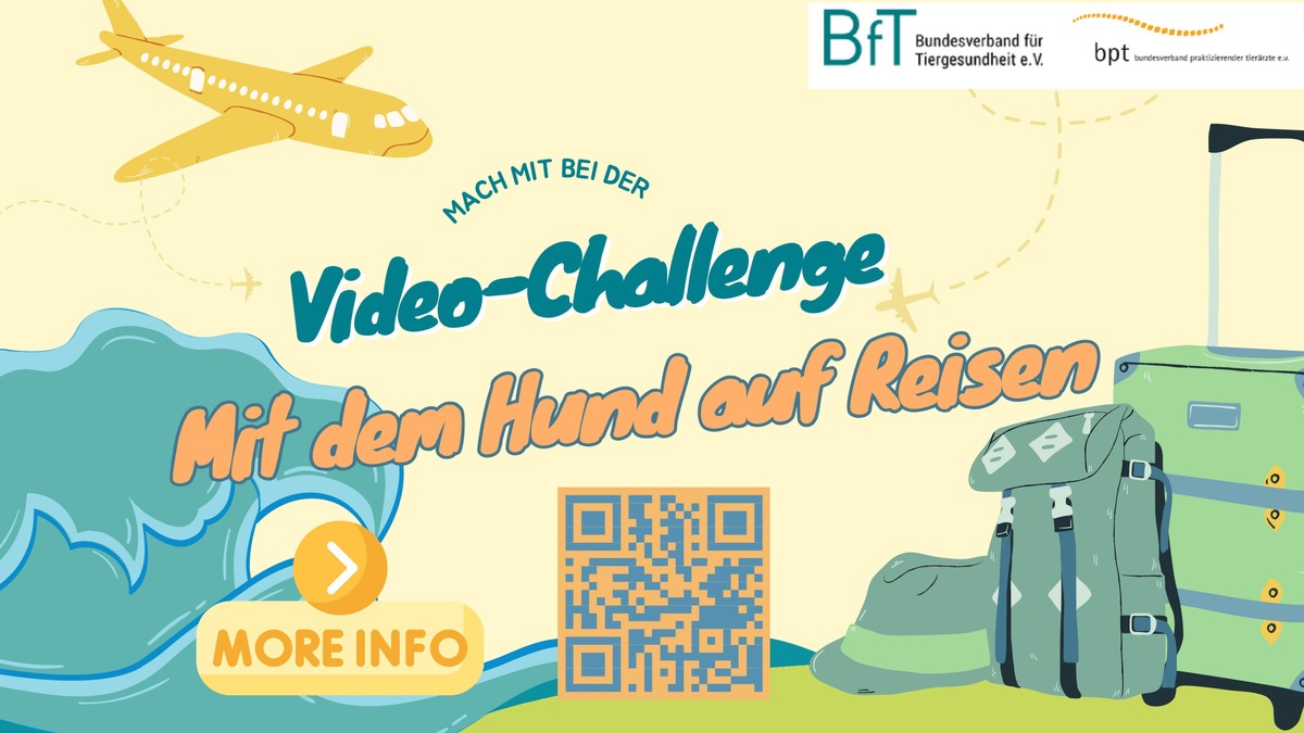 BfT und bpt starten neue Video-Challenge: Rundum geschützt - Mit dem Hund auf Reisen