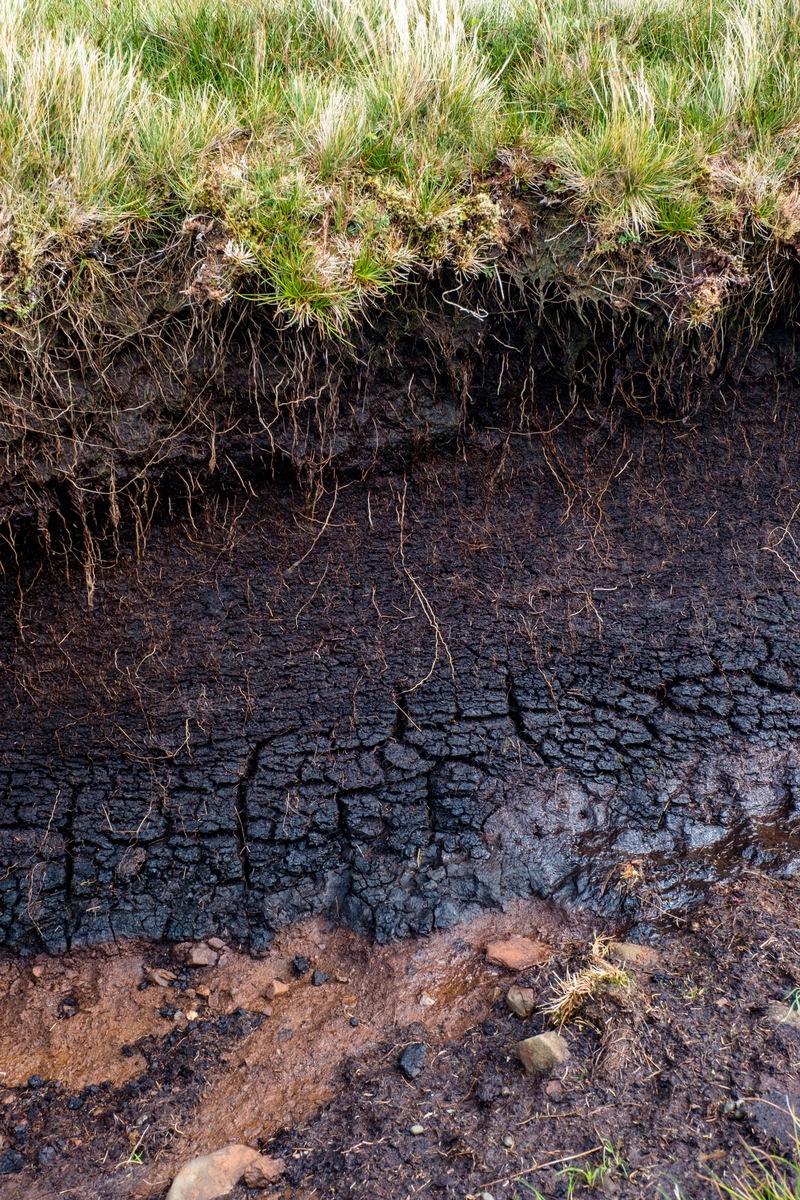 Der Boden - unverzichtbarer Helfer für sauberes Trinkwasser / Weltbodentag am 5. Dezember 2021