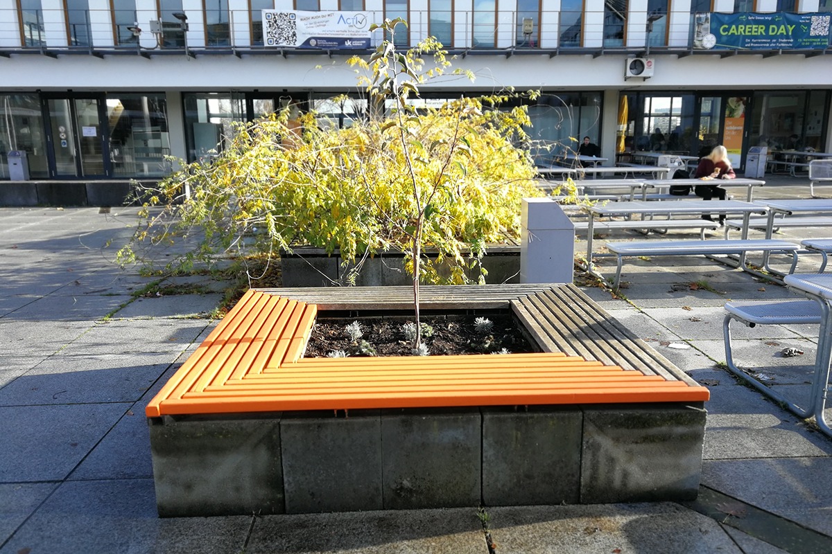 Orange Day: Universität in Koblenz setzt Zeichen gegen Gewalt an Frauen