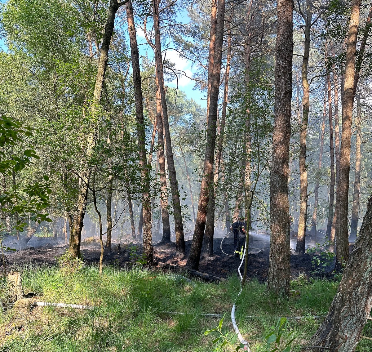 FW-ROW: ++ Waldbrand in Tiste - 1800 Quadratmeter Waldfläche in Brand ++ Schwerer Verkehrsunfall auf der L 130