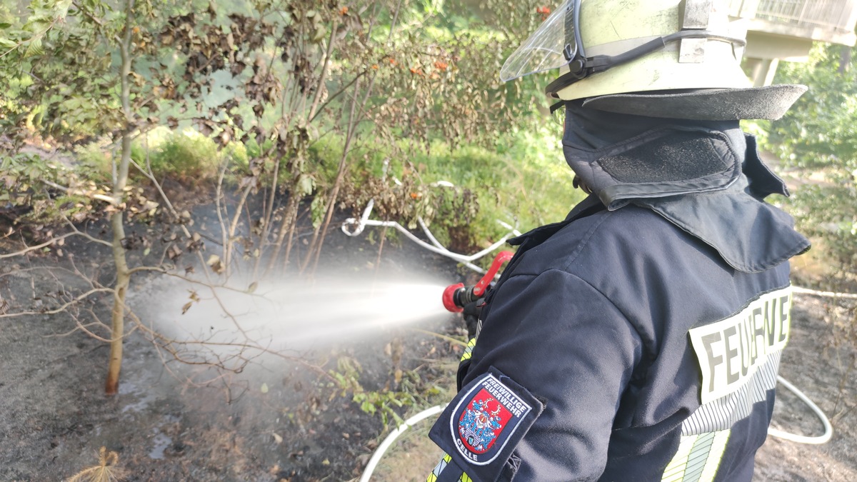 FW Celle: Waldbrand - Erstinformation