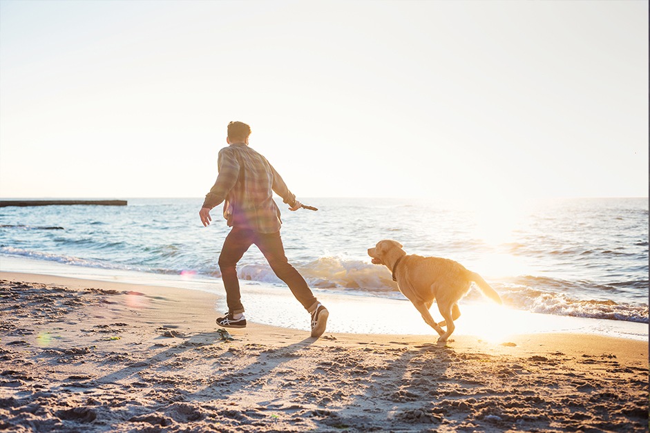 Presse-Info: Herbsturlaub mit Hund