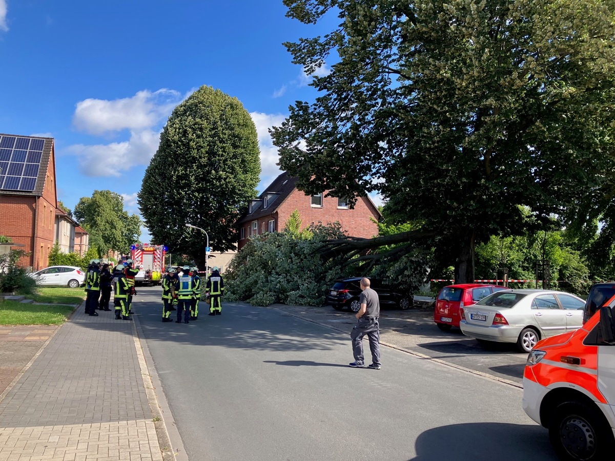 FW-BO: Baum legt sich auf Taxi, Glück gehabt