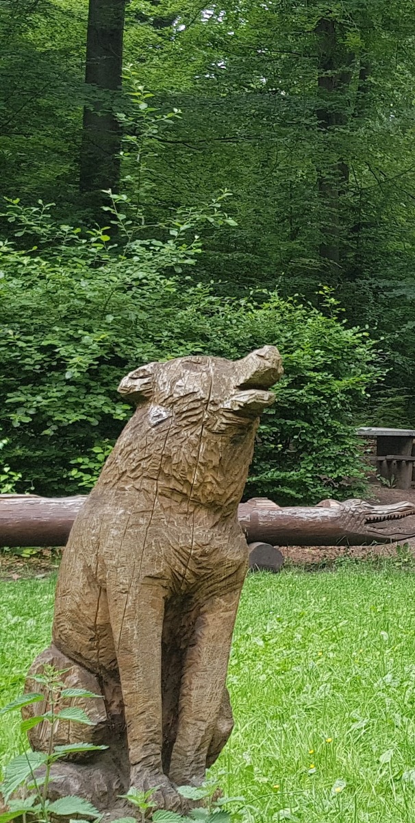 POL-NOM: Diebstahl einer Holzfigur