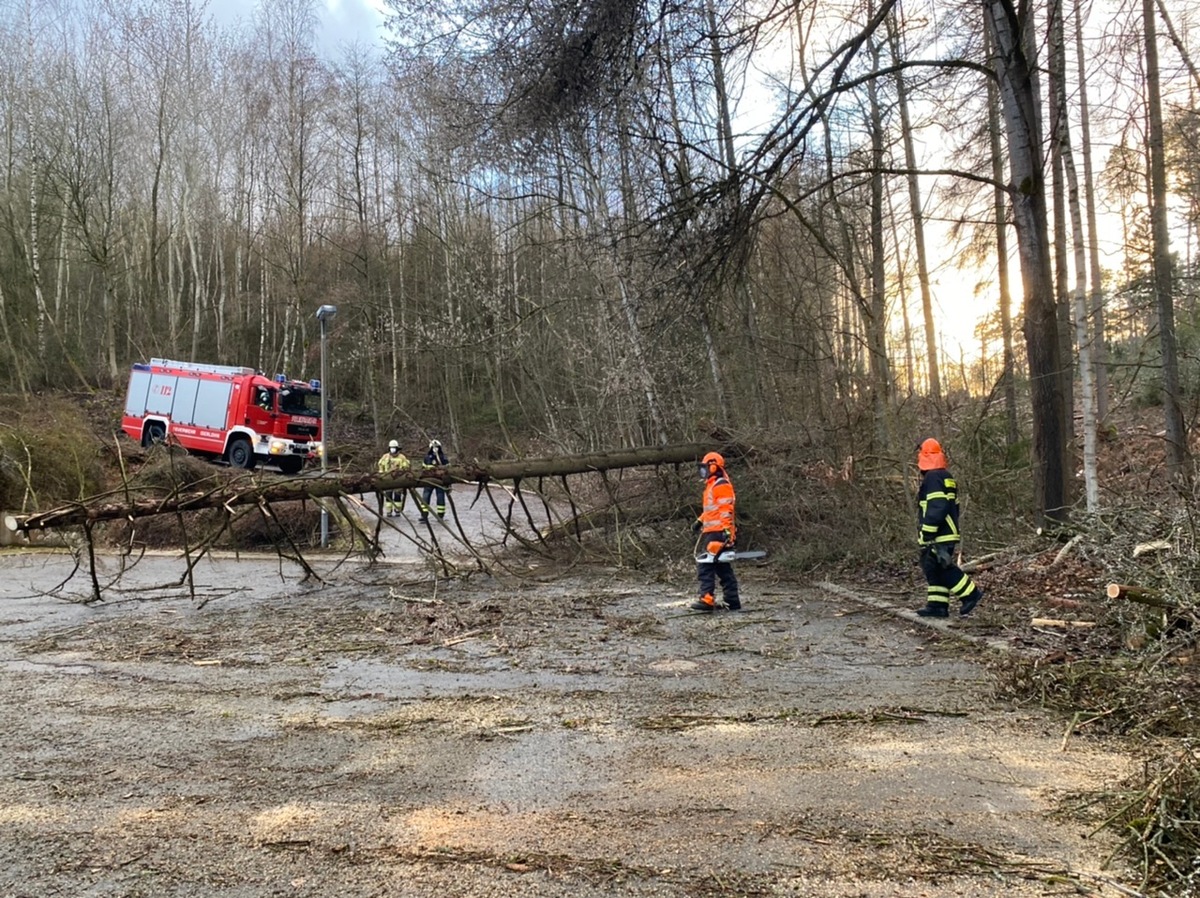 FW-MK: Umgestürzte Bäume durch Windböen