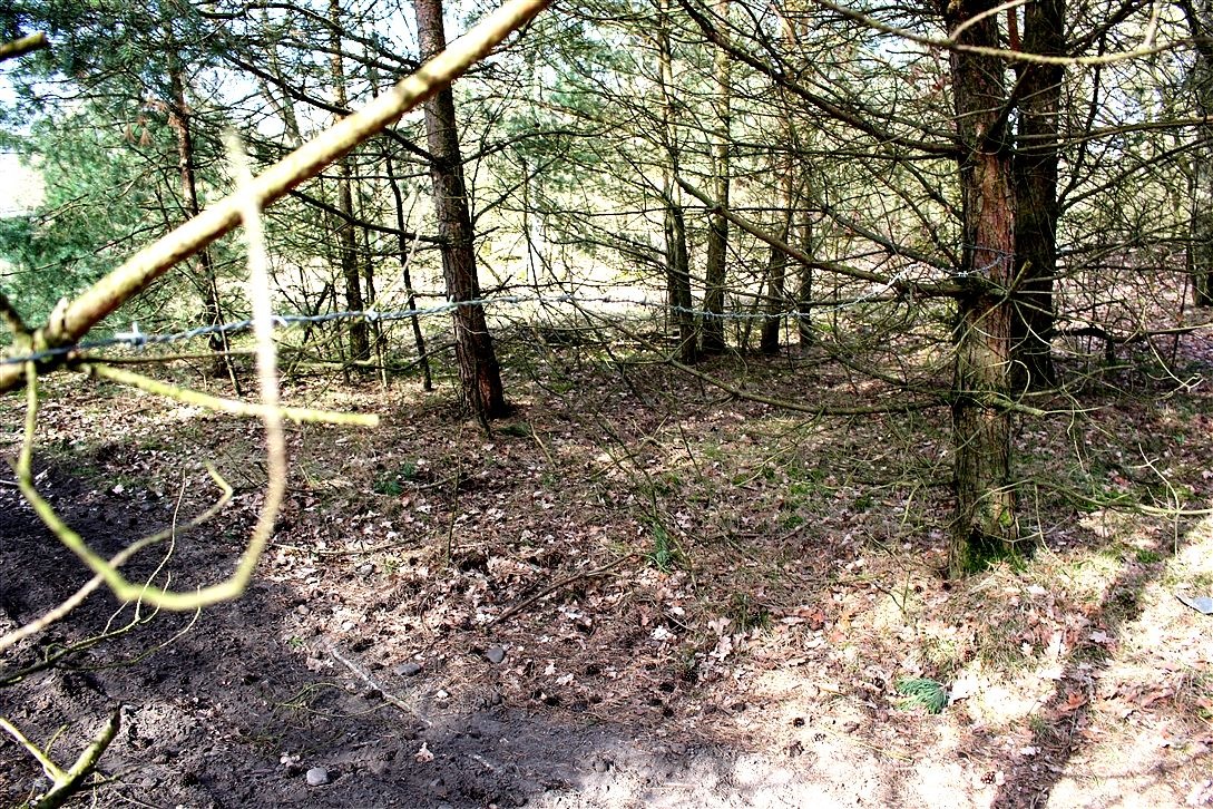 POL-COE: Lüdinghausen, Seppenrade, Borkenberge/ Polizei findet über Motocross-Weg gespannten Stacheldraht im Naturschutzgebiet