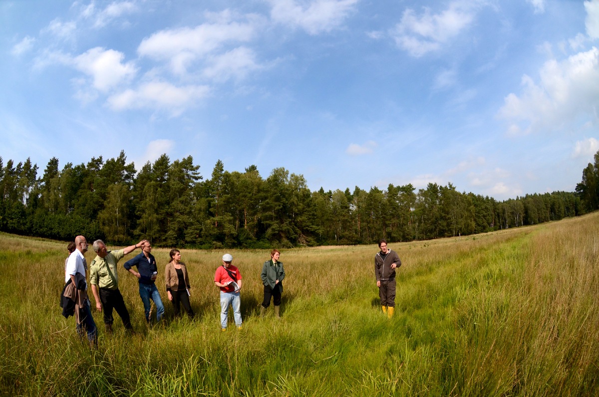 Gemeinsames Projekt der DBU Naturerbe GmbH und Krombacher zur Renaturierung des &quot;Möllersches Luch&quot; in der Rüthnicker Heide abgeschlossen (BILD)