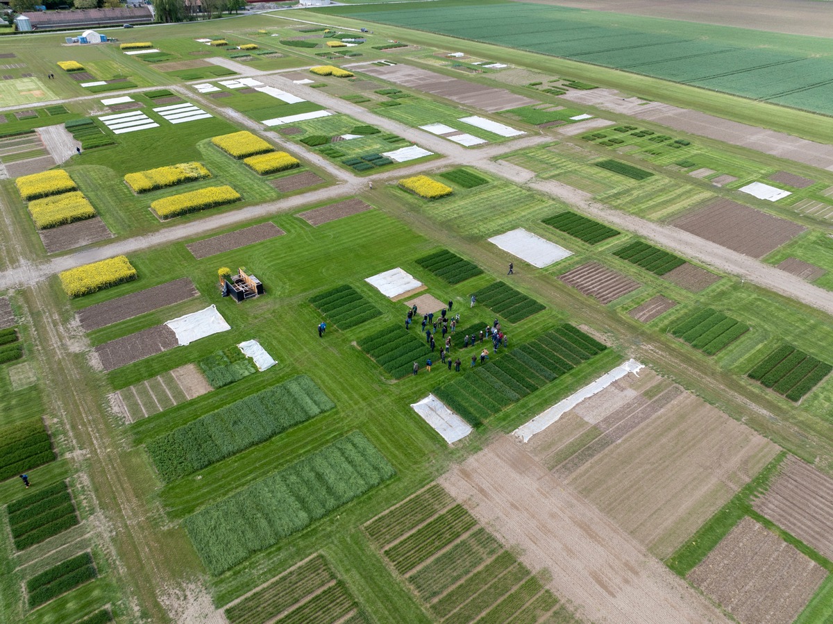 DLG-Feldtage: Landwirtschaftliche Fachmesse lockt ins Freiland