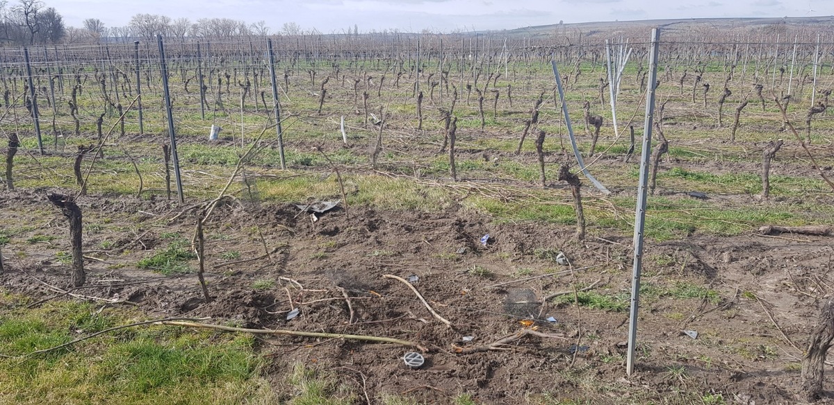 POL-PDWO: Eich - Unbekannter rast in Weinberg