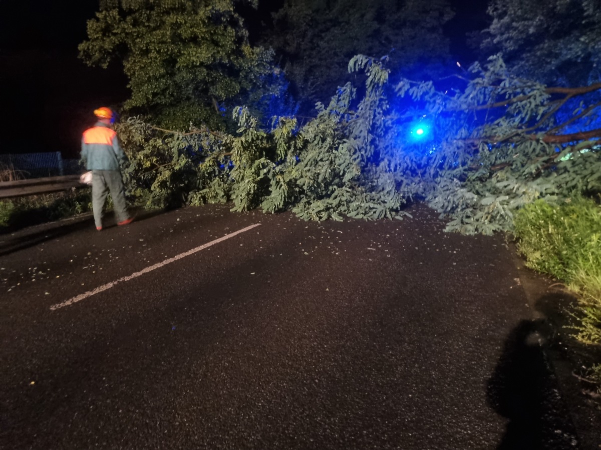 FW Xanten: Bäume versperrten B57