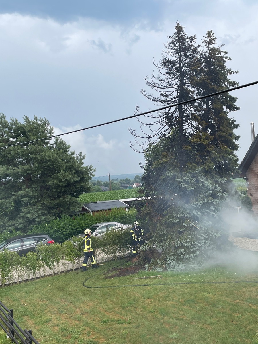 FW Kranenburg: Blitz schlägt in Baum ein