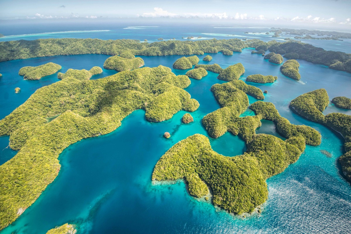 &quot;Fischraub in der Südsee&quot;: ZDF-Ostasien-Korrespondent Thomas Reichart berichtet für &quot;planet e.&quot; über illegale Haijagd (FOTO)