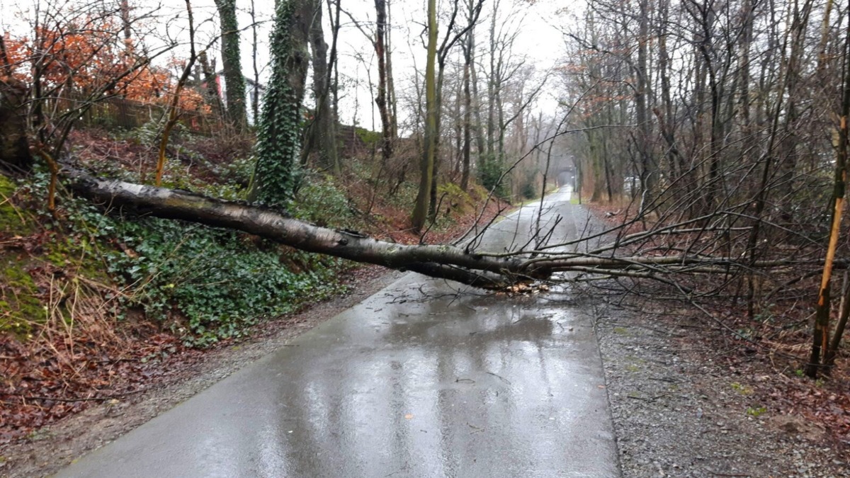 FW-ME: Verkehrsunfall, Heizölaustritt und umgestürzter Baum (Meldung 4/2016)