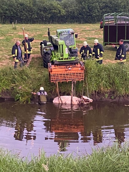 BPOL-FL: Osterstedt - Außergewöhnliche Rettung einer Kuh aus See in Gleisnähe