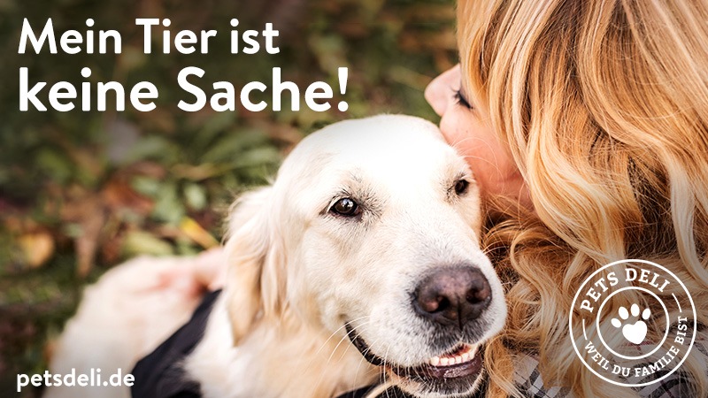 Nach 1 Million Views auf Instagram: Pets Deli startet Giftköder-Petition zum Schutz von Haustieren