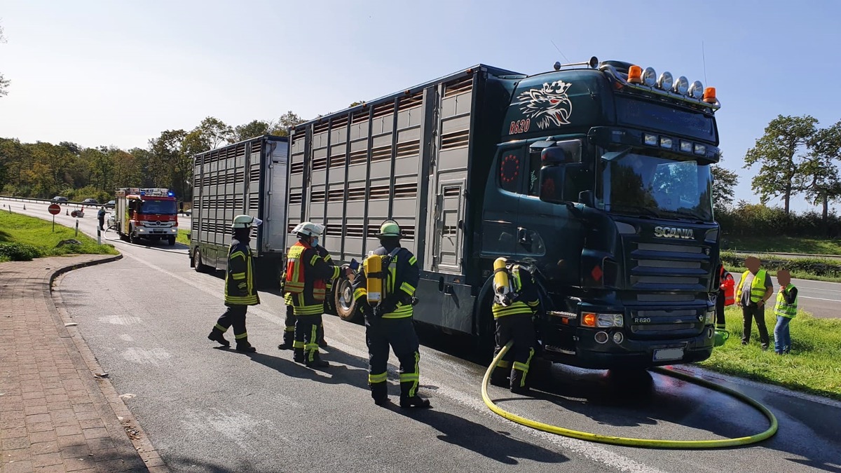 FW-WRN: FEUER_2 - LKW-Viehtransporter, brennen die Bremsen bei KM 298