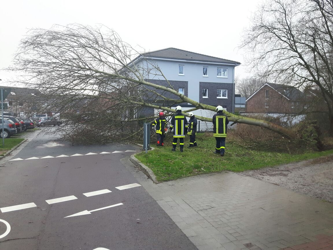 FW-Dorsten: Erste Bilanz nach dem Sturmtief &quot;Friederike&quot; der Feuerwehr Dorsten