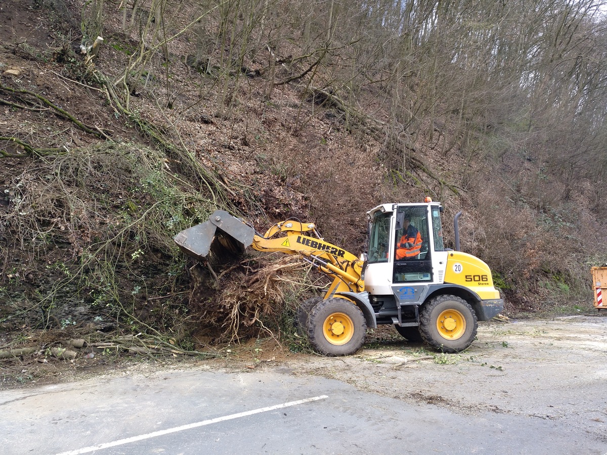 FW-EN: Wetter - Baum auf Hagener Straße