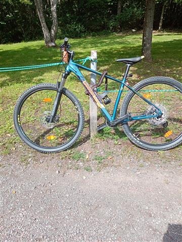 POL-PDTR: Dreister Mountainbike Diebstahl